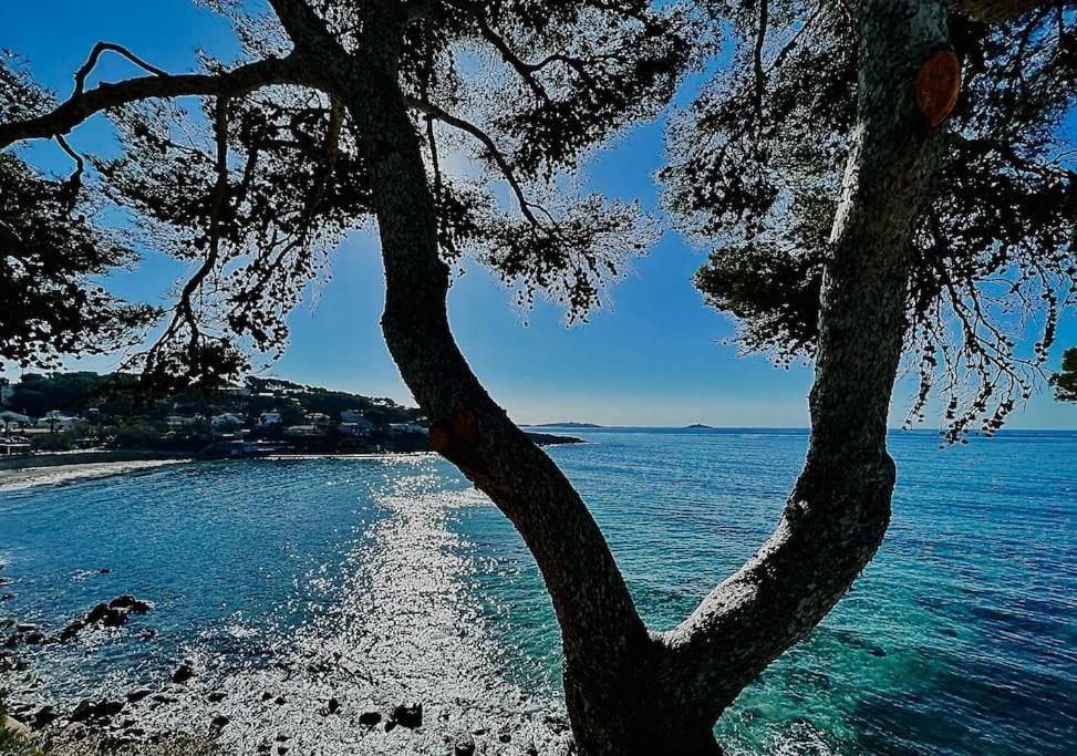 Appartamento Escapade Au Coeur De Sanary Esterno foto