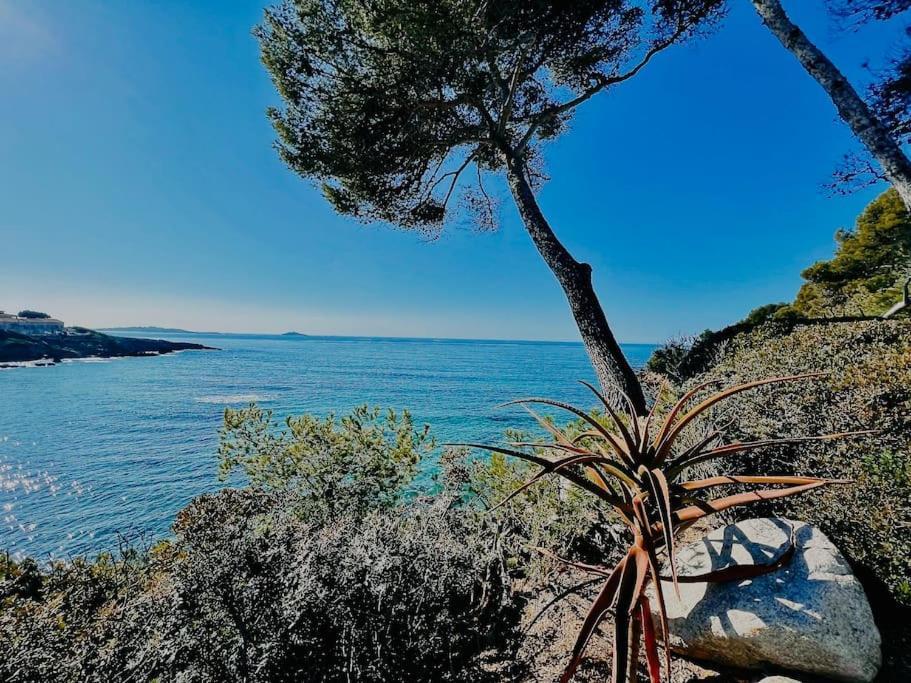 Appartamento Escapade Au Coeur De Sanary Esterno foto
